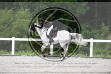 ref. photo 3646014