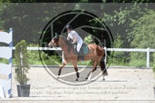 ref. photo 3646018
