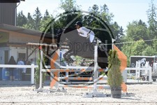 ref. photo 3646072