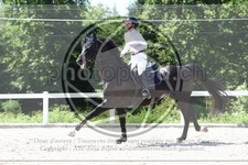 ref. photo 3646076
