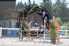 ref. photo 3646083