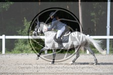 ref. photo 3646094