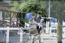 ref. photo 3646104
