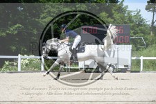 ref. photo 3646147