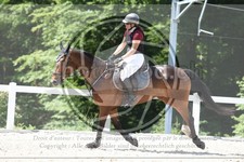 ref. photo 3646160
