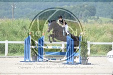 ref. photo 3646167