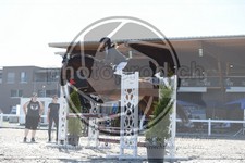 ref. photo 3646211