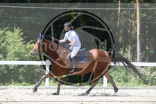 ref. photo 3646217