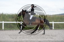 ref. photo 3646224
