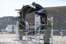 ref. photo 3646259