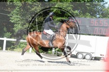 ref. photo 3646262