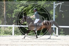 ref. photo 3646268