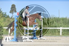 ref. photo 3646318