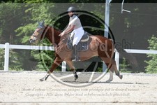 ref. photo 3646332