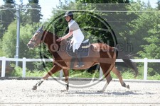 ref. photo 3646335