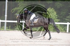 ref. photo 3646397