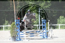 ref. photo 3646403