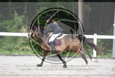 ref. photo 3646414