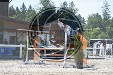 ref. photo 3646432