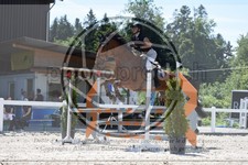 ref. photo 3646452