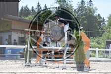 ref. photo 3646465