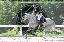 ref. photo 3646469