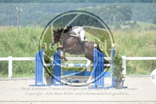 ref. photo 3646471