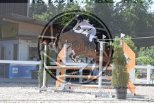 ref. photo 3646526
