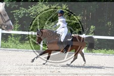 ref. photo 3646529