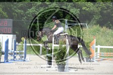 ref. photo 3646637