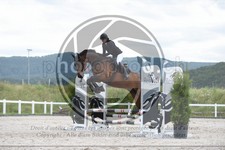 ref. photo 3646792