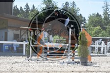 ref. photo 3646804