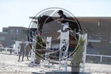ref. photo 3646812