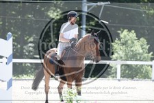 ref. photo 3646883