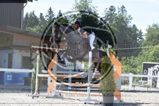 ref. photo 3646895
