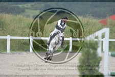 ref. photo 3647002