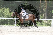 ref. photo 3647030