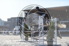 ref. photo 3647044