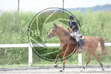 ref. photo 3647060