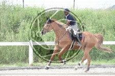 ref. photo 3647061