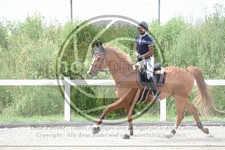 ref. photo 3647062