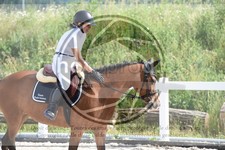 ref. photo 3647097