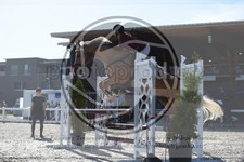 ref. photo 3647102