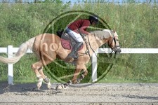 ref. photo 3647105
