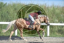 ref. photo 3647106