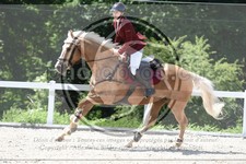 ref. photo 3647112