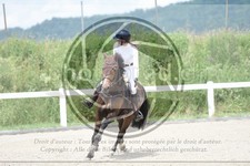 ref. photo 3647142