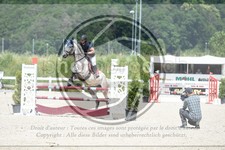 ref. photo 3647200