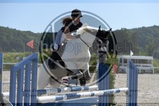 ref. photo 3647274