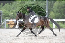 ref. photo 3647342